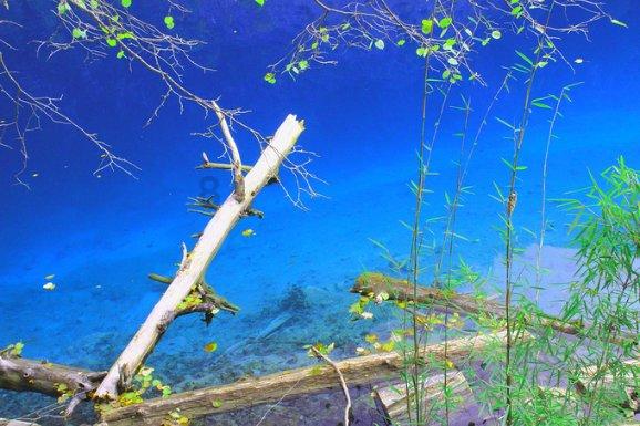苹果实况图可以p吗